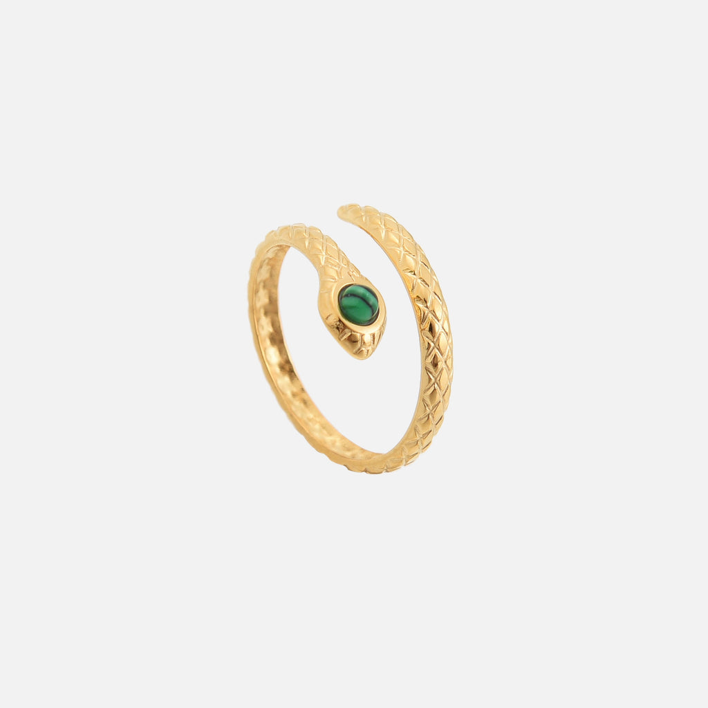 Anillo Arya (ajustable)
